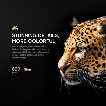 Syinix 50U61 50-Inch 4K UHD Google TV